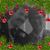 Doug Hutto's profile image