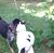 Juanita Petty's profile image
