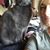 Teresa Knighton's profile image