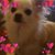 Marg Bouvier's profile image