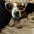 Michael Moyer's profile image