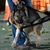 Dawn Meeker's profile image