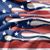 Susan Jeffery's profile image