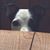 Frank Fazzino's profile image