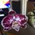 Margaret Bell Gowan's profile image