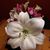 Lillian Tafoya's profile image