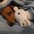 Doyle Andrews's profile image