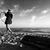 Melissa Louise Catalli's profile image