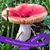 Sheila Fiene's profile image