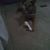 Eva Lynn NVaughn's profile image