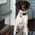 Kim Dennis Peterson's profile image