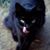Terry Grissom Caruthers's profile image