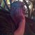 Joe Travers's profile image