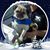 Russ White's profile image