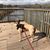 Terrie Caplette Marchesseault's profile image