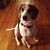 Annette Wilcoxon's profile image
