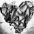 Stephani A Noecker-Mohn's profile image