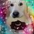Kathy Lesniak-Starko's profile image