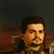 Danny Gavrilovic's profile image