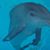 Yvette Cruz-Cowdrey's profile image