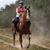 Donna Mead Corbin's profile image