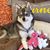 Patty Ramsburg's profile image