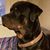 Jane M Woodruff's profile image