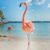 Vickie S. Flores's profile image