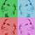 Amy Thrush-Dreves's profile image