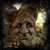 Liz Holt-Nunes's profile image