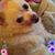 Mary Hall's profile image