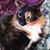 Tamara O'Neil's profile image