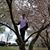 Tracy Rodriguez's profile image