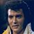 Steven Roseberry's profile image