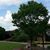 Landahl Insurance Agency's profile image