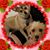 Sheryl Danner's profile image