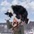 Taylor Duguay-Ladouceur's profile image