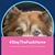 Gail Standish's profile image