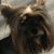 Dee Zaninelli's profile image