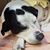 Alicia Faruzzi Brantley's profile image