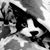 Betty Gray Smoot's profile image