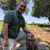 Troy Lowe's profile image