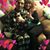 Mary Ann Salinas's profile image