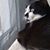Donna M Fonseca's profile image