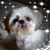 Sue Waite Kroll's profile image