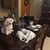 Holly Henninger's profile image