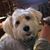 Douglas Parsons's profile image