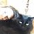 Kate Lacasse's profile image