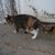 Nadine Sawyer Davies's profile image