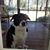Jo Su Taylor's profile image
